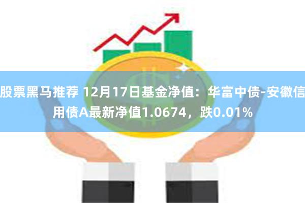股票黑马推荐 12月17日基金净值：华富中债-安徽信用债A最新净值1.0674，跌0.01%