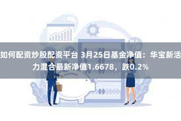 如何配资炒股配资平台 3月25日基金净值：华宝新活力混合最新净值1.6678，跌0.2%