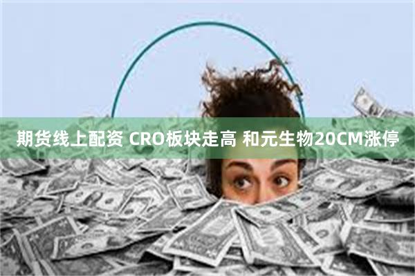 期货线上配资 CRO板块走高 和元生物20CM涨停