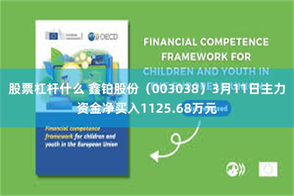 股票杠杆什么 鑫铂股份（003038）3月11日主力资金净买入1125.68万元