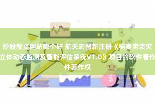 炒股配资网站哪个好 航天宏图新注册《稻麦涝渍灾害立体动态监测及智能评估系统V1.0》项目的软件著作权