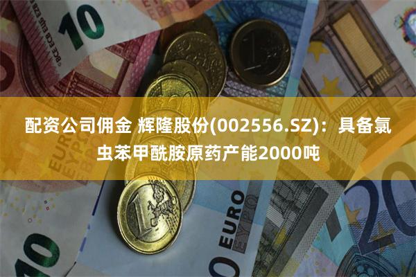 配资公司佣金 辉隆股份(002556.SZ)：具备氯虫苯甲酰胺原药产能2000吨