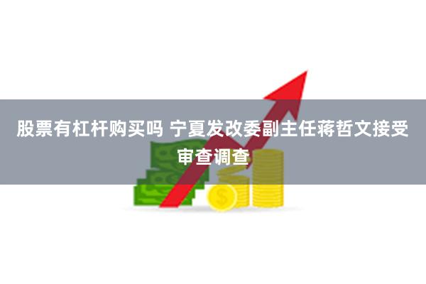 股票有杠杆购买吗 宁夏发改委副主任蒋哲文接受审查调查