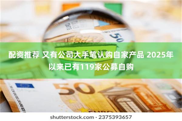 配资推荐 又有公司大手笔认购自家产品 2025年以来已有119家公募自购