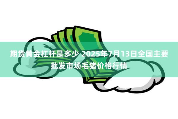 期货黄金杠杆是多少 2025年7月13日全国主要批发市场毛猪价格行情