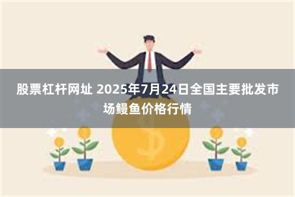 股票杠杆网址 2025年7月24日全国主要批发市场鳗鱼价格行情