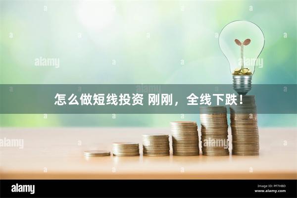 怎么做短线投资 刚刚，全线下跌！