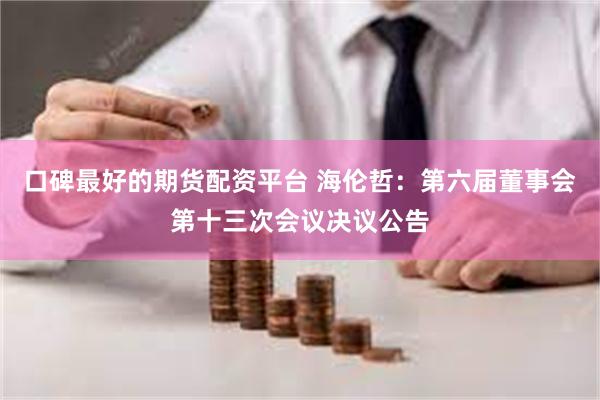 口碑最好的期货配资平台 海伦哲：第六届董事会第十三次会议决议公告