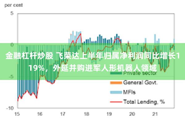 金融杠杆炒股 飞荣达上半年归属净利润同比增长119%，外延并购进军人形机器人领域